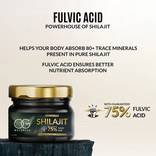 Og Wellness Pure Himalayan Shilajit Resin (20 Gm 1 Pc)