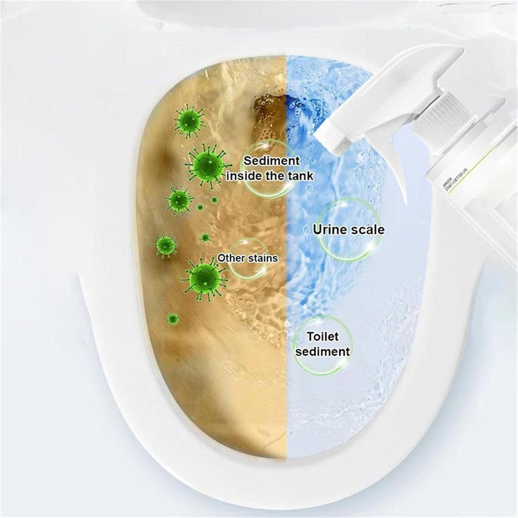 Multi-Purpose Oxalic Acid Stain Removal Spray 200ML (Pack of 2)